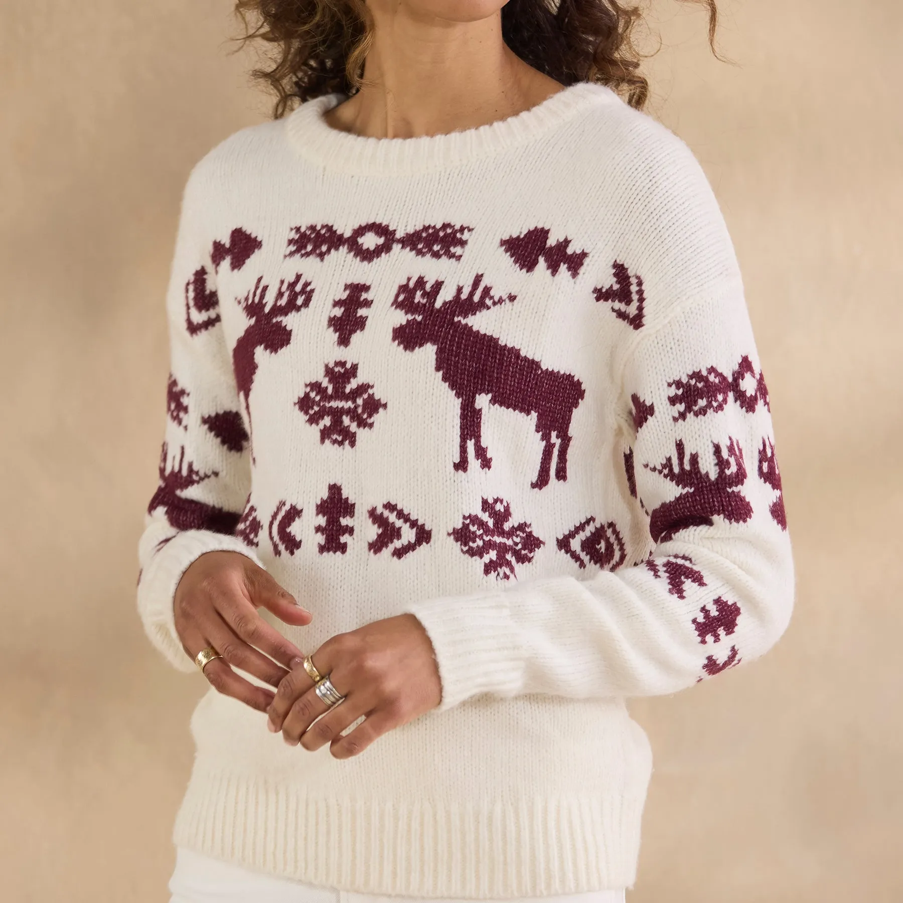 Spirited Moose Sweater, Petite