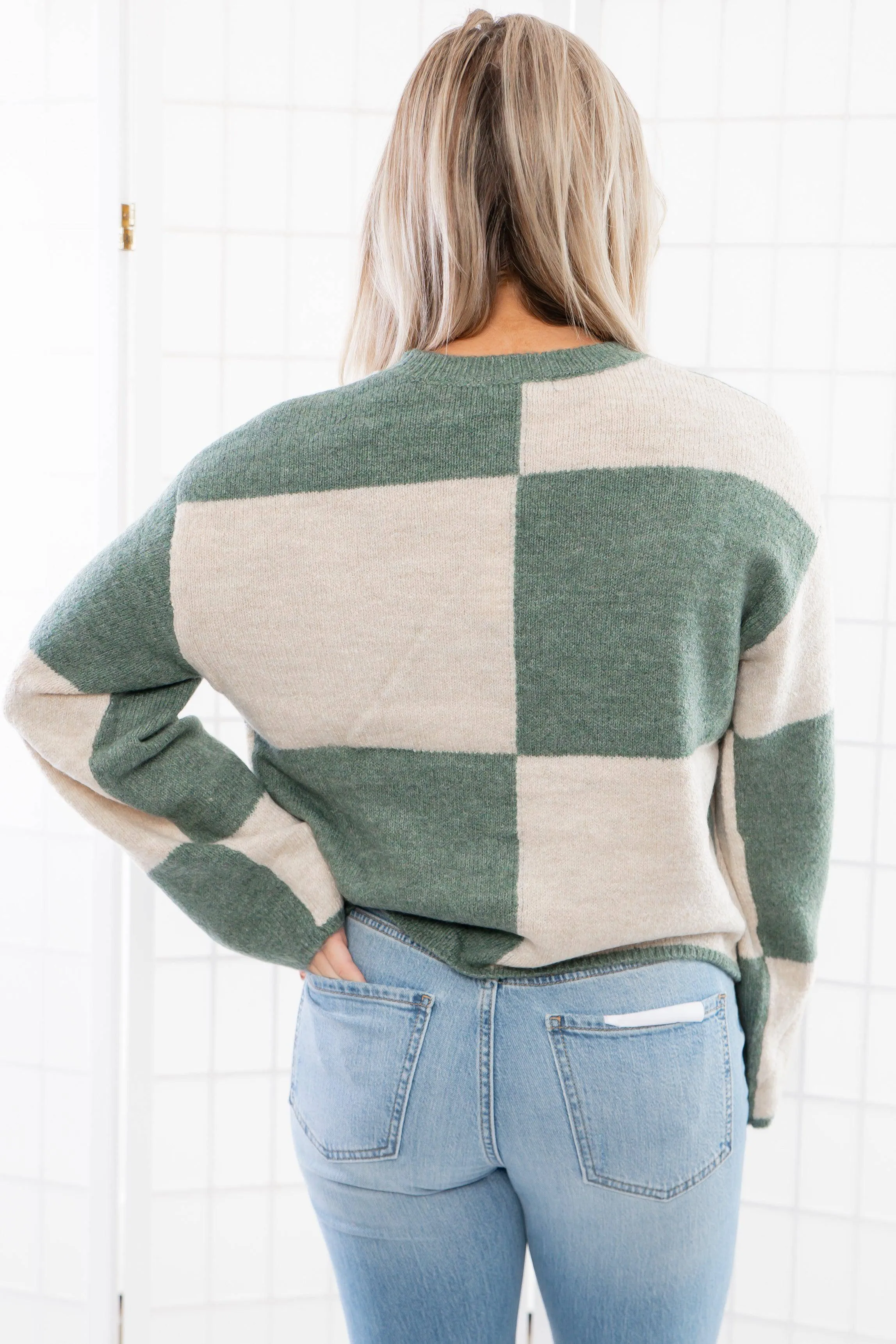 Z Supply Palm Green Rosi Block Sweater