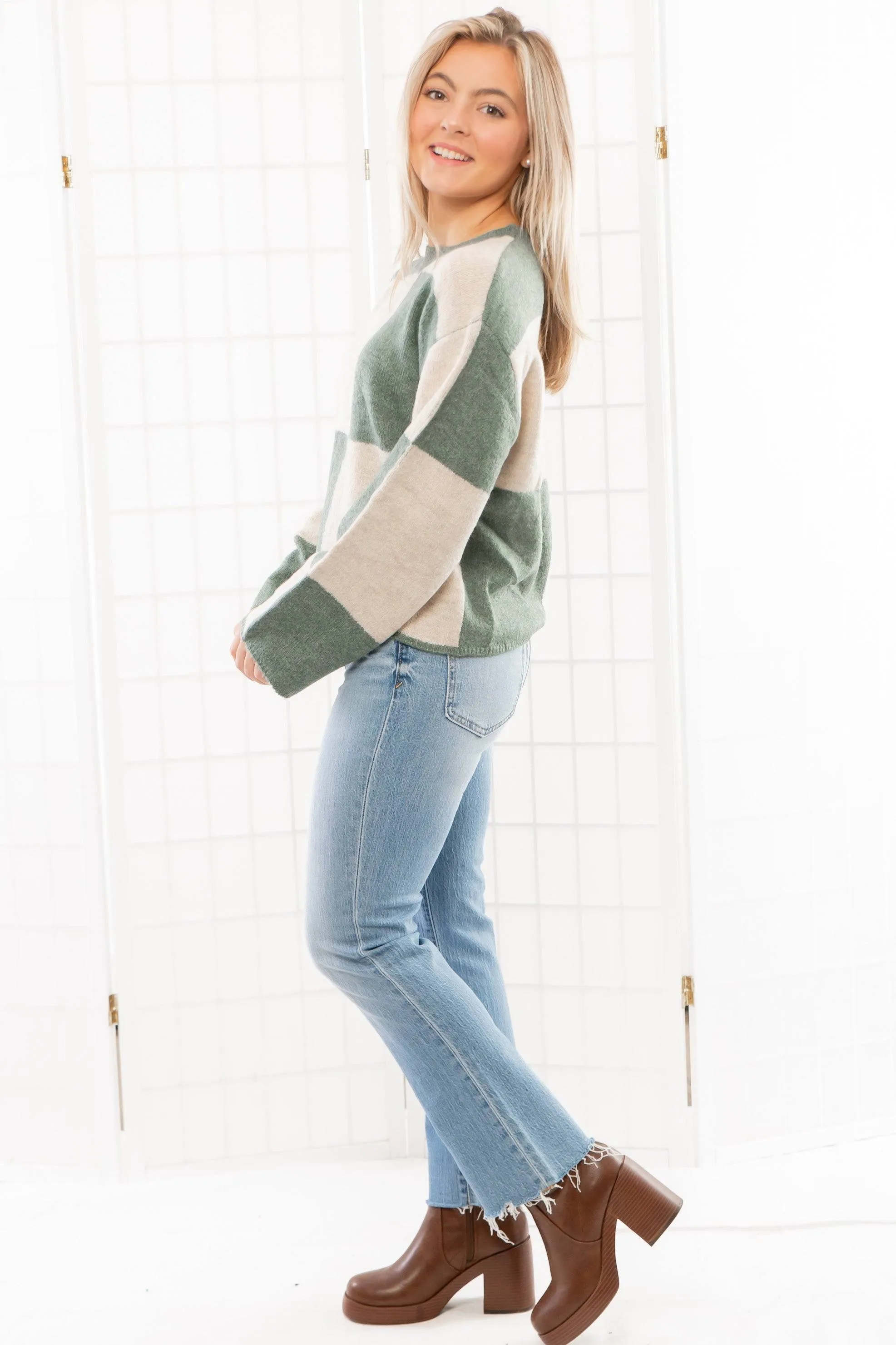 Z Supply Palm Green Rosi Block Sweater